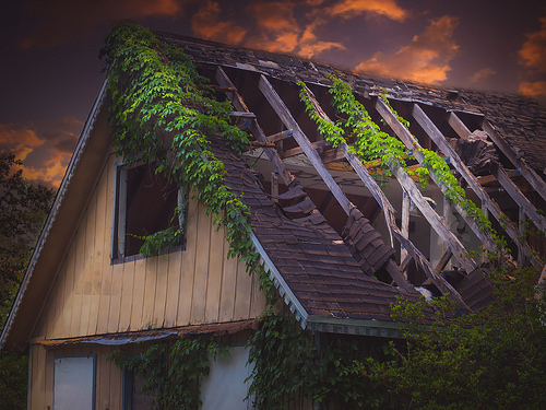 Remembering God Christ's Psalms Our Psalms